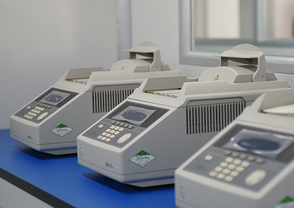 石家庄司法亲子鉴定多少钱的费用,石家庄司法亲子鉴定怎么做