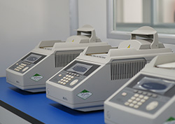 石家庄司法亲子鉴定多少钱的费用，石家庄司法亲子鉴定怎么做