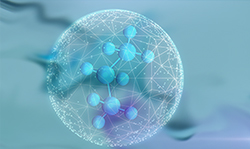 石家庄DNA检验鉴定中心查询[预约咨询]